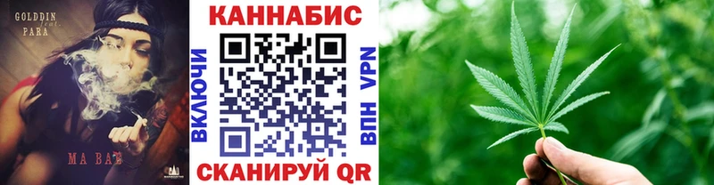 ГАШ Котовск