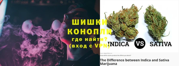 шишки Осташков
