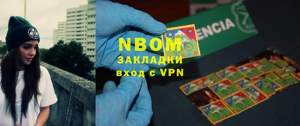 шишки Осташков