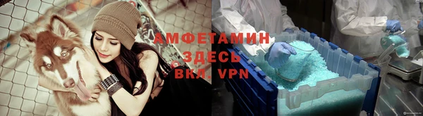 шишки Осташков
