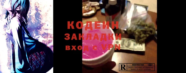 шишки Осташков