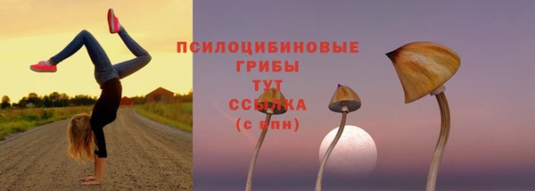 экстази Пересвет