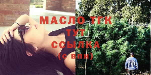 шишки Осташков