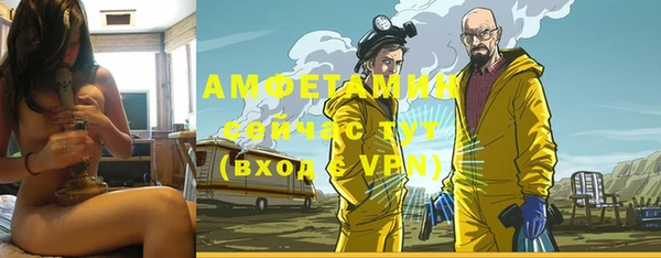 шишки Осташков