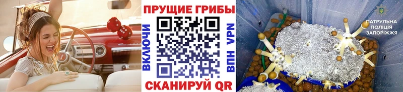 Галлюциногенные грибы мицелий Котовск
