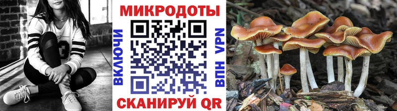 купить наркоту  Котовск  Псилоцибиновые грибы Magic Shrooms 