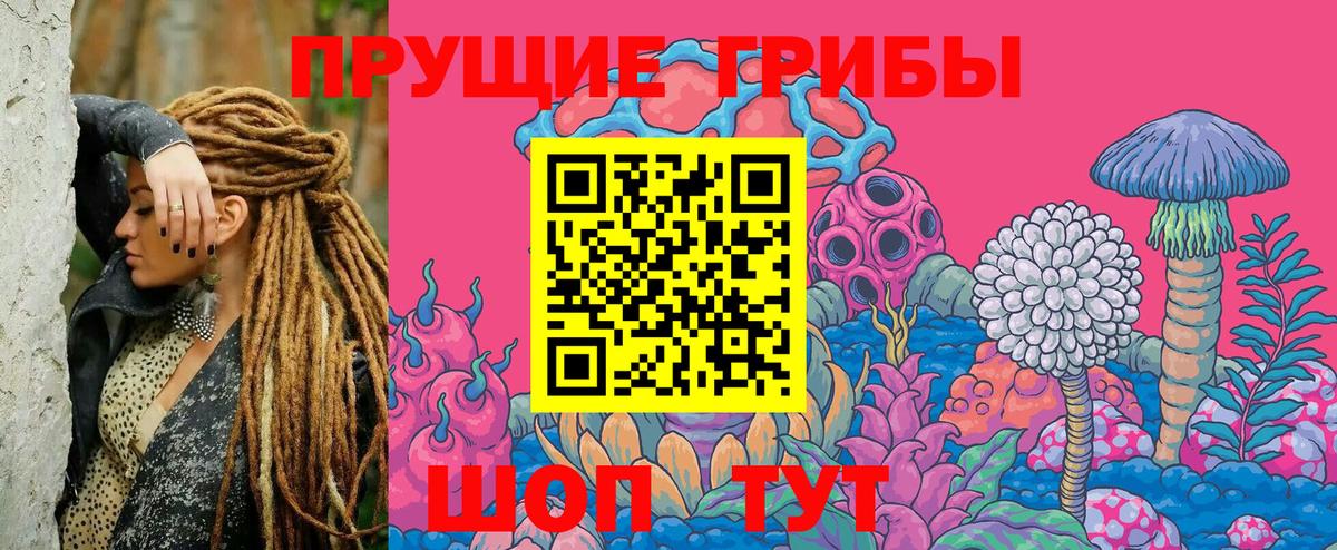 Псилоцибиновые грибы Magic Shrooms Котовск
