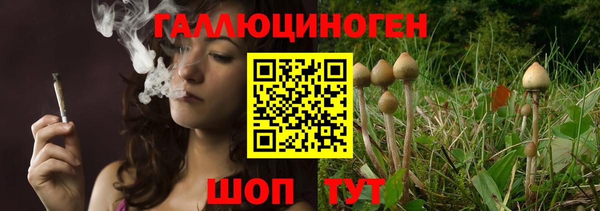 что такое   Вход с VPN  Котовск  Псилоцибиновые грибы мицелий 